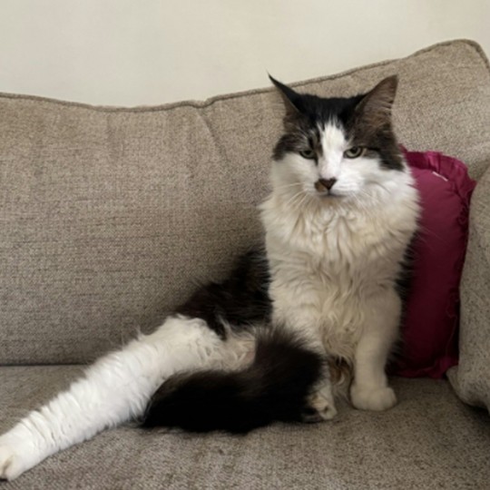 Billy dmh lost 2 nov